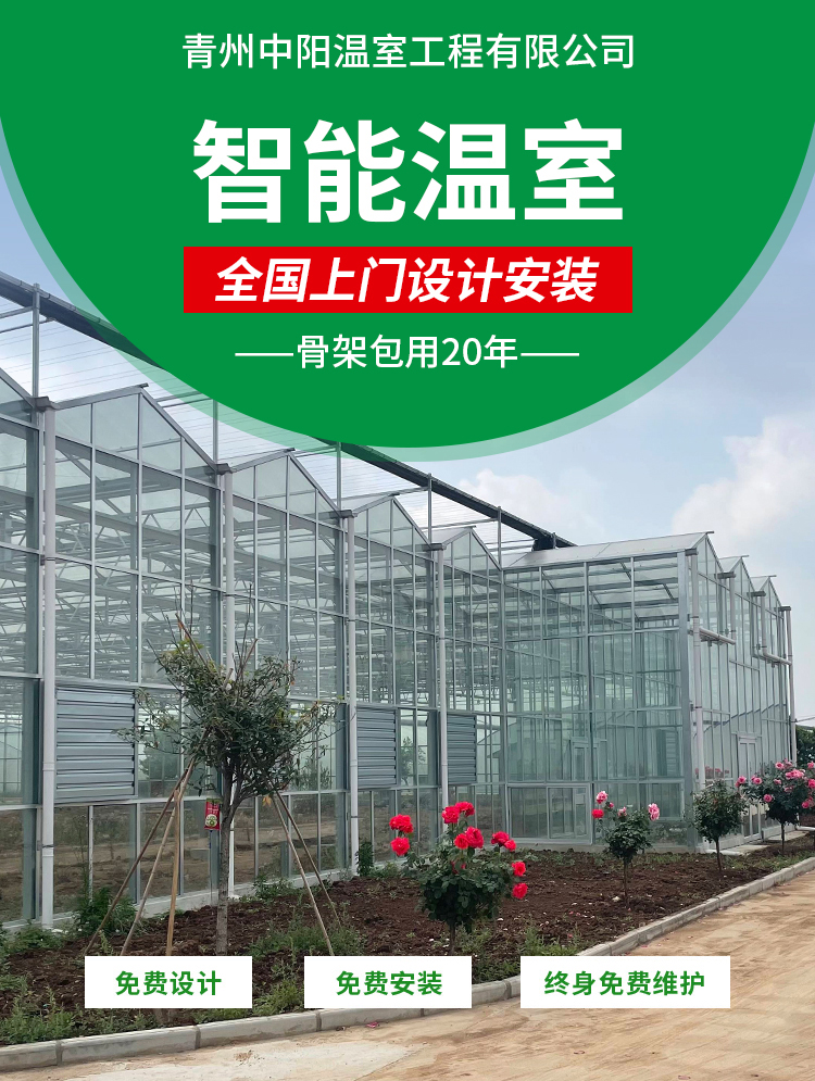 64edac2326fc8.jpg 1.jpg