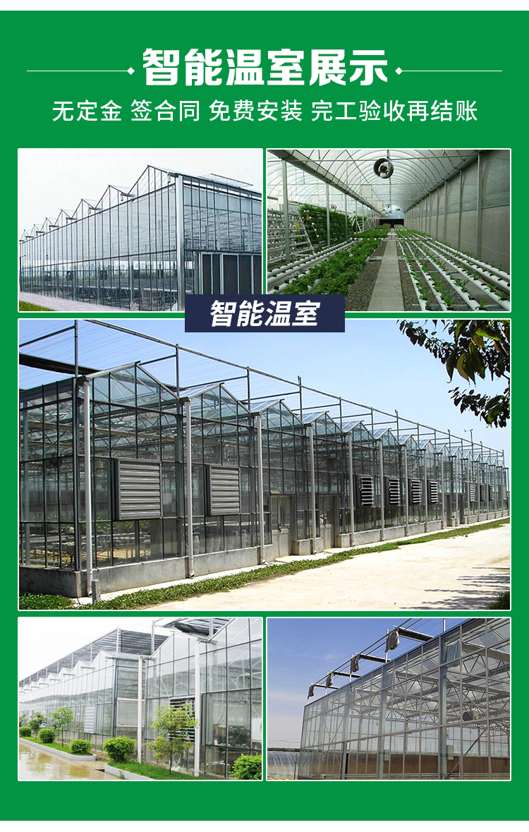 64edac32bba45.jpg 3.jpg