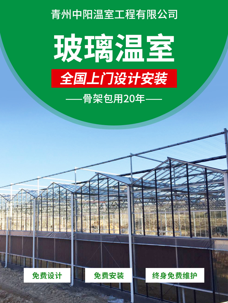 64edb08190efb.jpg 1.jpg