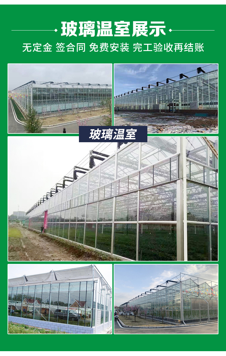 64edb08d813be.jpg 3.jpg