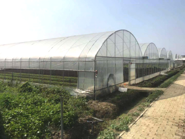 薄膜连栋温室